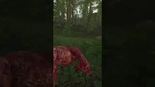 Killing a Bear in SCUM... #scumgame #scumgameplay #scumsurvival #scumpvp