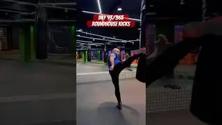 Day 93/365 &ndash; Roundhouse Kick. Built by Repetition.