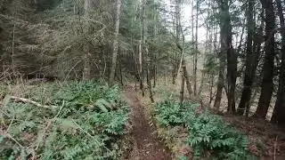 Vedder Mountain Dirt Biking - Whoopee - 2020 KTM 300 XC-W TPI