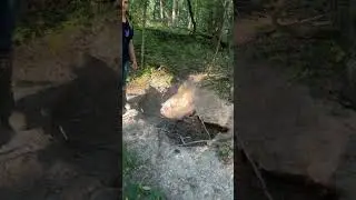 Deer eat BIG Holes in the Ground. | Discovering old Mineral Sites|