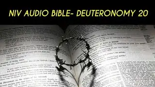 DEUTERONOMY 20 NIV AUDIO BIBLE (with text)