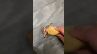 Fazbear segments: The slug!