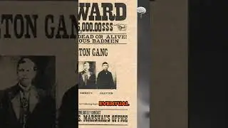 The Rise and Fall of Emmett Dalton: Wild West Legend