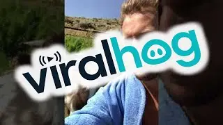 Heated Adorable Argument with Baby Goat || ViralHog