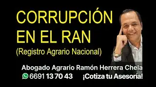 CORRUPCIÓN EN EL RAN (Registro Agrario Nacional)