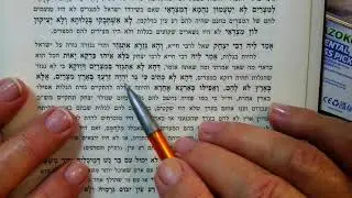 ZOHAR... PARSHAT SHEMOT    RASHBI 16 Teves 5786 Pirush Matok M'dvash...