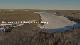 Raw Alberta wilderness with amazing potential.