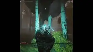 wormface vs deaths poker I t build #eldenring #gaming #arpg #pc #short #shorts #boss