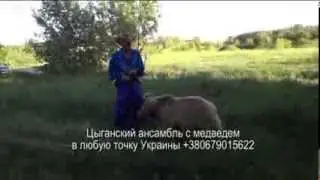 Цыганский Ансамбль Арго с медведем на праздник по Украине