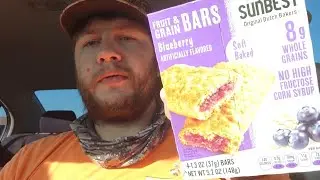 Review Sunbest Fruit Grain & Bars Blueberry