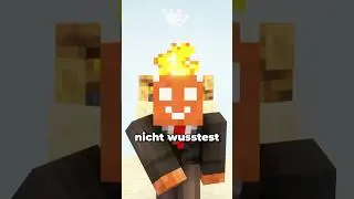 Fakten &uuml;ber das Minecraft Lagerfeuer die du nicht wusstest&hellip;?! #minecraft #minecraftshorts #maggus