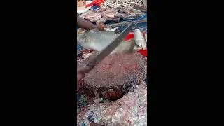UNBELIEVABLE! 🔥 Fastest Fish Cutting Skills on Earth!#FastestFishCutting#AmazingCutKnif#ViralShorts