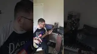 The Affect Heuristic - Against the Grain *GUITAR PLAYTHROUGH*