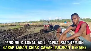 Warga asli Papua❗ikut serta mengolah lahan cetak sawah di provinsi Papua selatan 