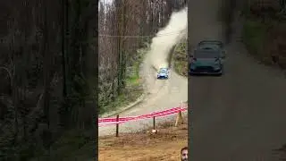 Jungle Speedster: High-Speed Adventure! 🚗💨