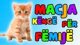 macja le te lahet kenge (Kenge per femije) │ Bleta &trade;