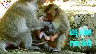 Poor little boy Jody crying tantrum for help cos Loni monkey hugging him tightly. Jody is so lovely.