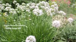 The Lake Geneva Library Project  -  'It's Called Gardening!'  Episode #58