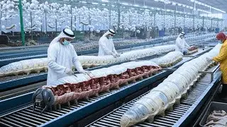 Inside the Silk Factory &ndash;The Fascinating Process of Making Luxury Fabric From  Unique Silkworm