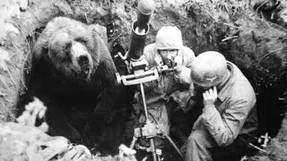 Невероятные исторические фотографии