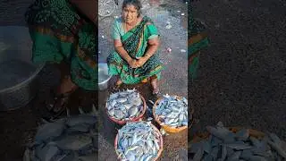 💥🐠 Fresh fish very lowprice | Kasimedu fish Market #fish #fishmarket #lowprice #shorts #trending