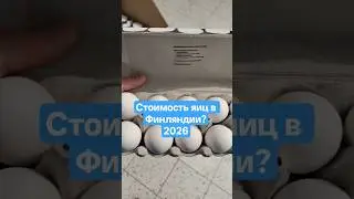 Сколько стоят яйца в Финляндии в 2026? 🥚💶 | Реальная цена