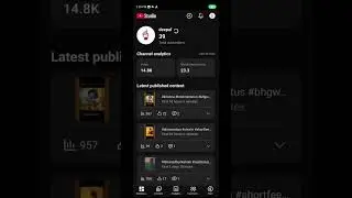 The Dark Truth of Indian YouTube Challenges । youtuber banane ka spna tha spna hi rh gya । seet लहर