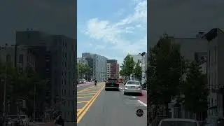 Reckless Driving | New York City | @CityAdvenTours | #shorts