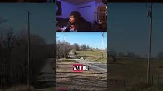 Dis that new tesla model: No Wings😂😂#subscribe #like