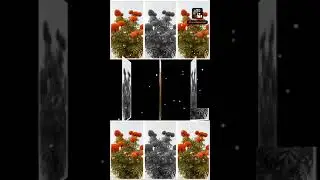 /storage/emulated/0/Pic2Video/Photoslideshow-010320-032908.mp4