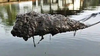 Ocean Engineering Students Dredging Indian River Lagoon Muck
