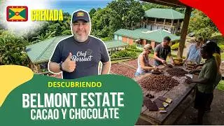 Belmont Estate | Cacao y Chocolate | Descubriendo 🇬🇩 | Grenada | West Indies | Caribbean