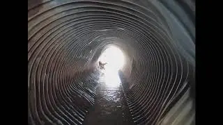 Creek Hunting 1830s Alabama Town - Antique Bottles Found!!