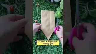 Zero Rupees Diy Christmas ideas! ##shorts