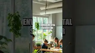 Exploring the Role of Certified Life Cycle Assessment Specialists