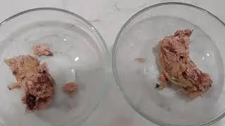 Rusty Eats: Fussie Cat Tuna with Anchovies