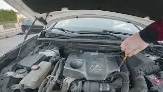 Where is Engine Oil Level Dipstick in LEXUS NX200t ( 2014 - 2017 )