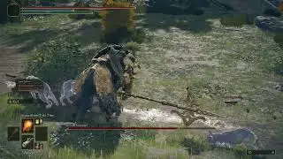 【Elden Ring】Lone Wolf Ashes +10 Vs Tree Sentinel