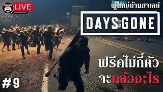 Live🔴9.ค่อยทำปก : DAYS GONE (ผู้ใหญ่บ้านฮาเลย์)