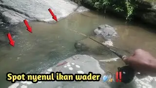 First time ‼️Mancing di kali mangur 