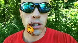 Hooked in the Face **Графическое самоудаление**