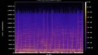 Ruffy s Lab mp3