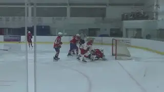 USA Hockey to require neck guards for youth level players