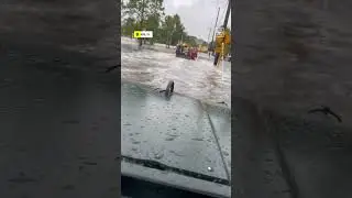 Scenes From Across Florida After Hurricane Idalia Made Landfall