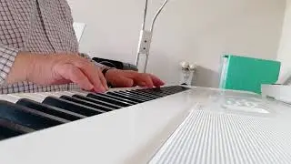 Mussidenn