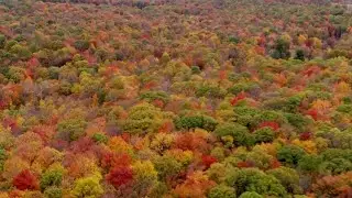 Aerials of stunning fall foliage captured over Western Pennsylvania