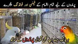 Visited Exotic Birds Cage Shop in Karachi | All New Varieties Fancy & Folding Cages For Birds