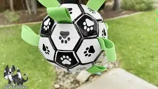 Boston Terrier Loves YUMMTOOM Soccer Ball #short