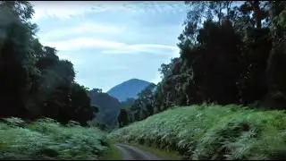 Taman Negara National Park Pahang Malaysia: The Misadventures of Aqeed Lobo