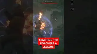 TEACHING THE POACHERS A LESSON!! #hogwartslegacy #GamingCommunity #YouTubeGaming #GrippingGameplay